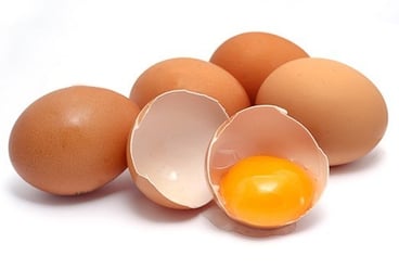 egg, egg allergy, food allergies, zeulab
