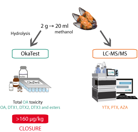 okatest-and-lc-ms-for-monitoring-lipophilic-toxins